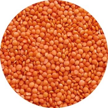 Lentils Ground